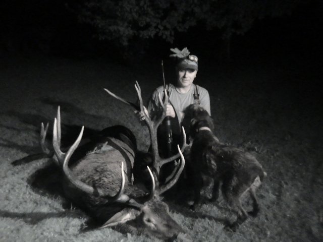 Rykowisko  2015
